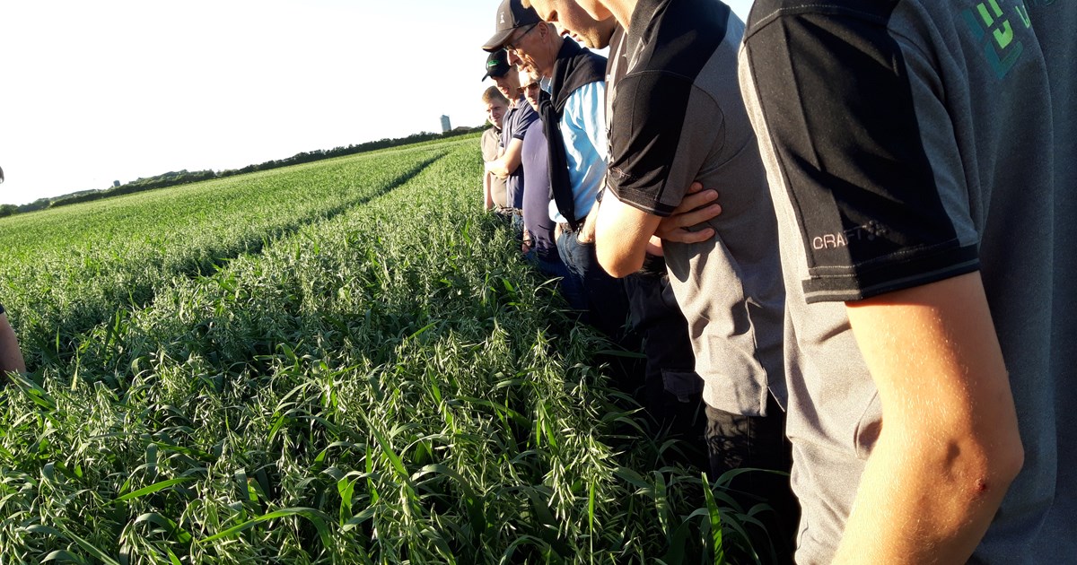 politisk indflydelse