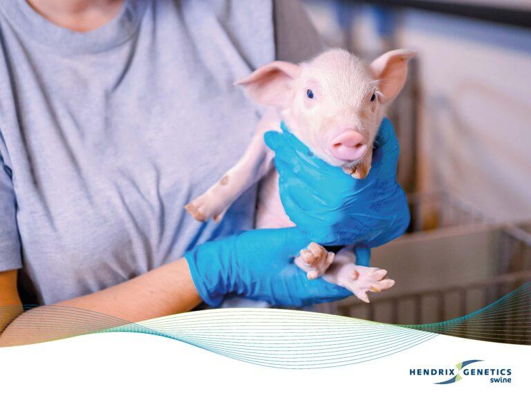 FRAMES_800X600_HG_SWINE_0425 (1)_Page_09