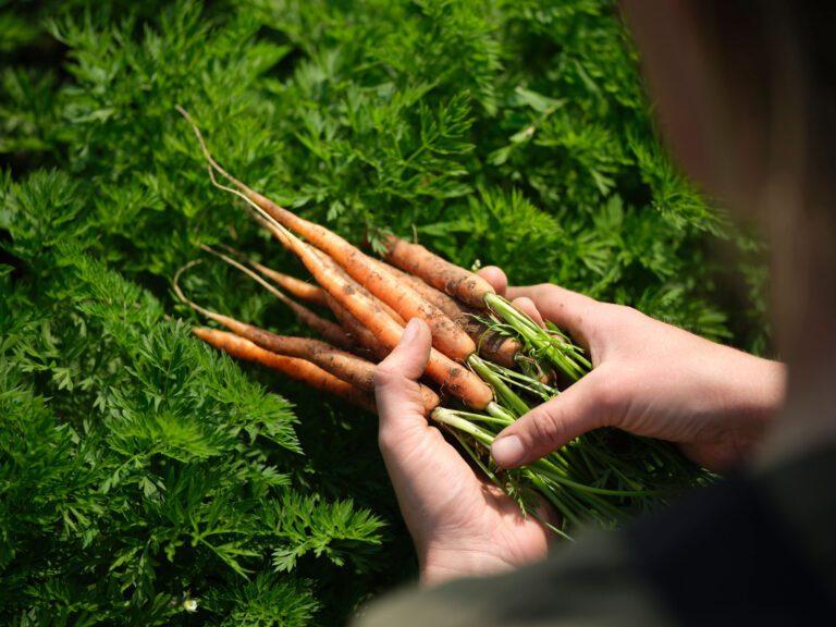 204320_Tjele_Gods_1839