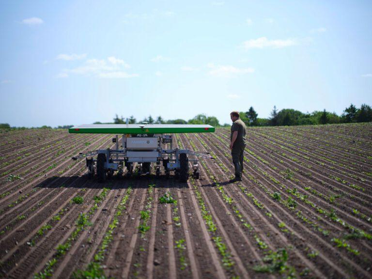 207074_Tjele_Gods_Juni_2025_1793