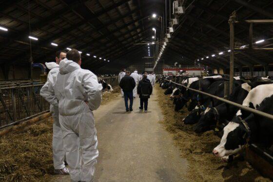 Nye malkerobotter og pølser på grillen